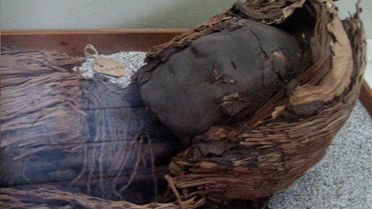 Image Credit: Pablo Trincado - CC BY 2.0/Wiki Commons