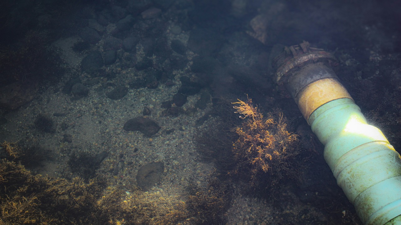 allysonarms/Unsplash