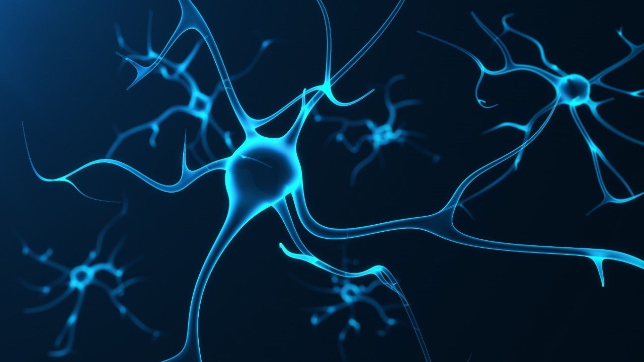 Engineered protein reveals hidden incoming signals between neurons