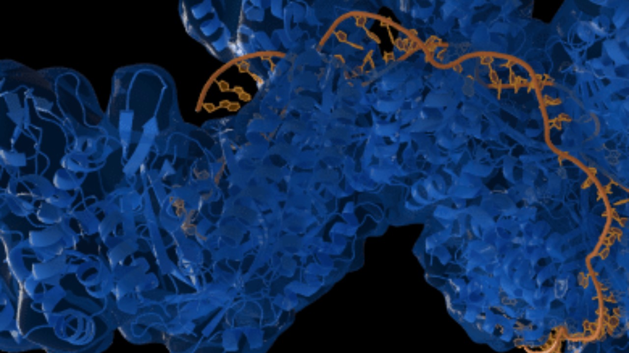 New CRISPR leap could transform treatment for genetic diseases