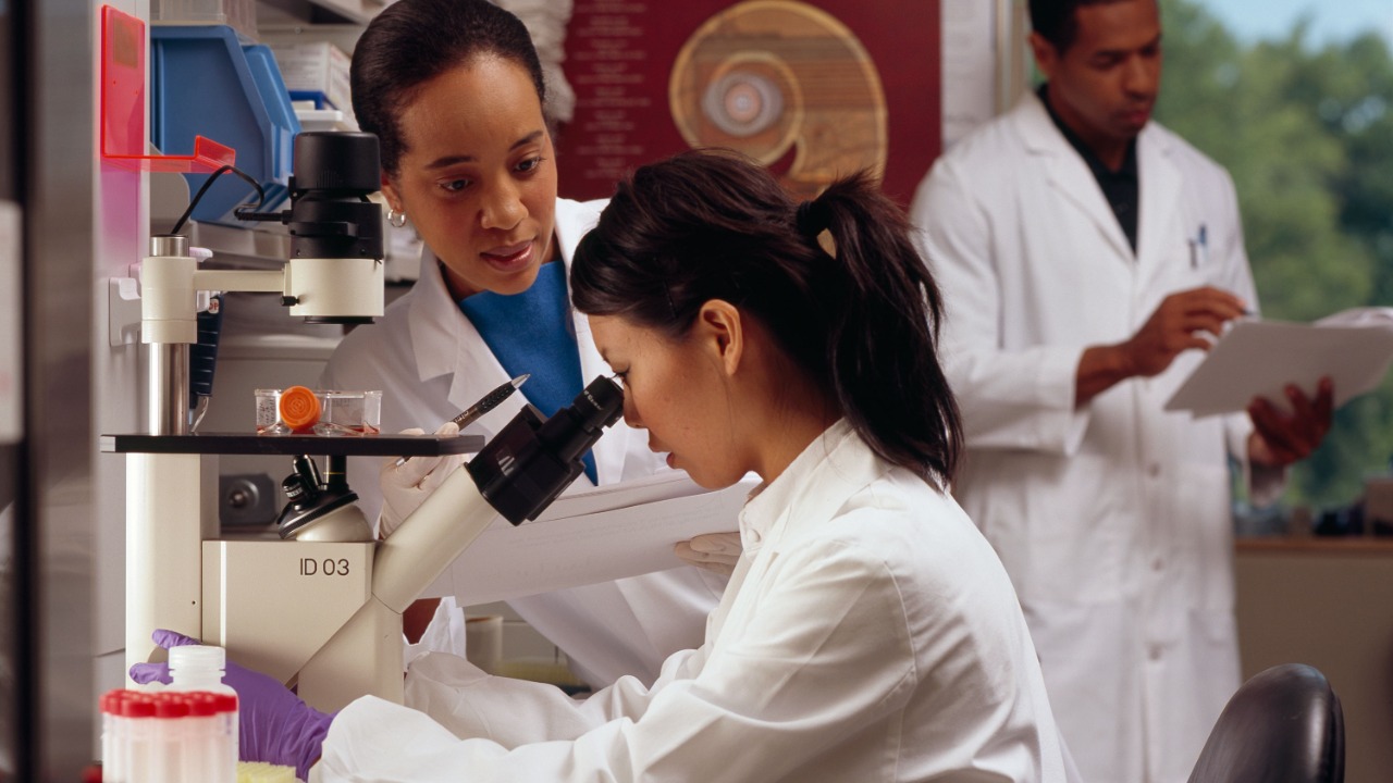 Image Credit: Rhoda Baer (Photographer) - Public domain/Wiki Commons