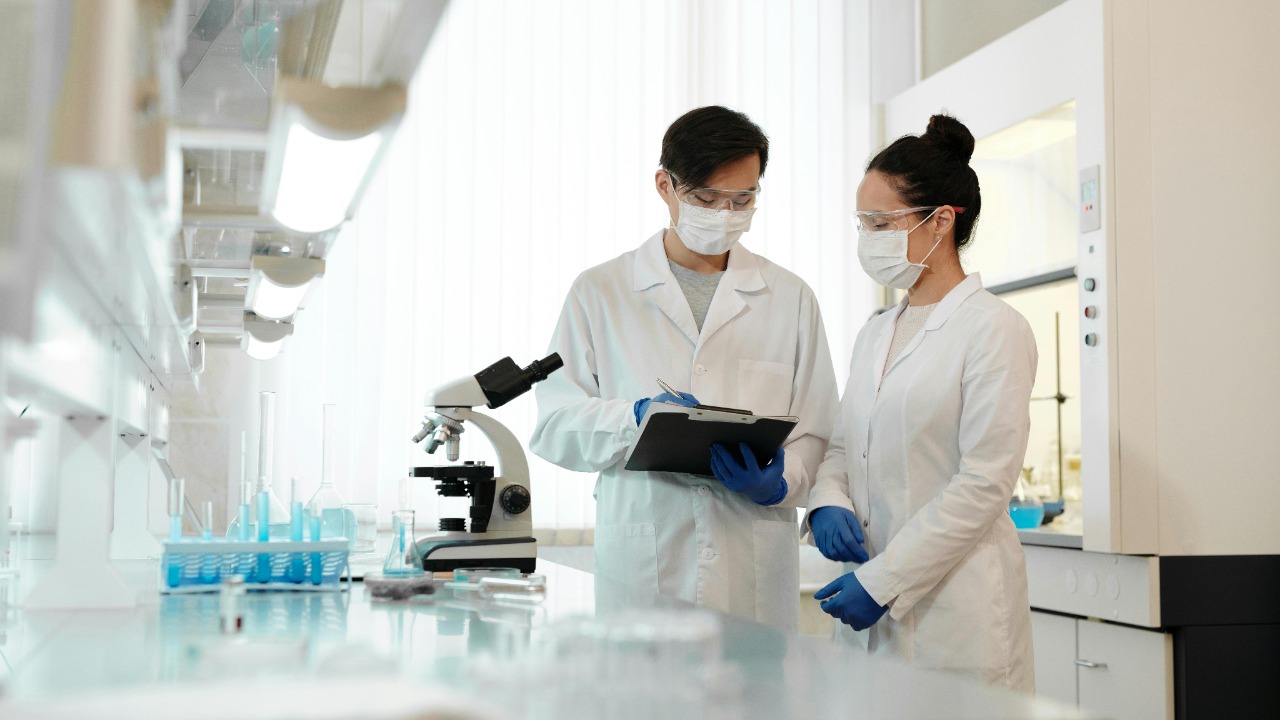 MIT scientists find a path to refresh the aging immune system