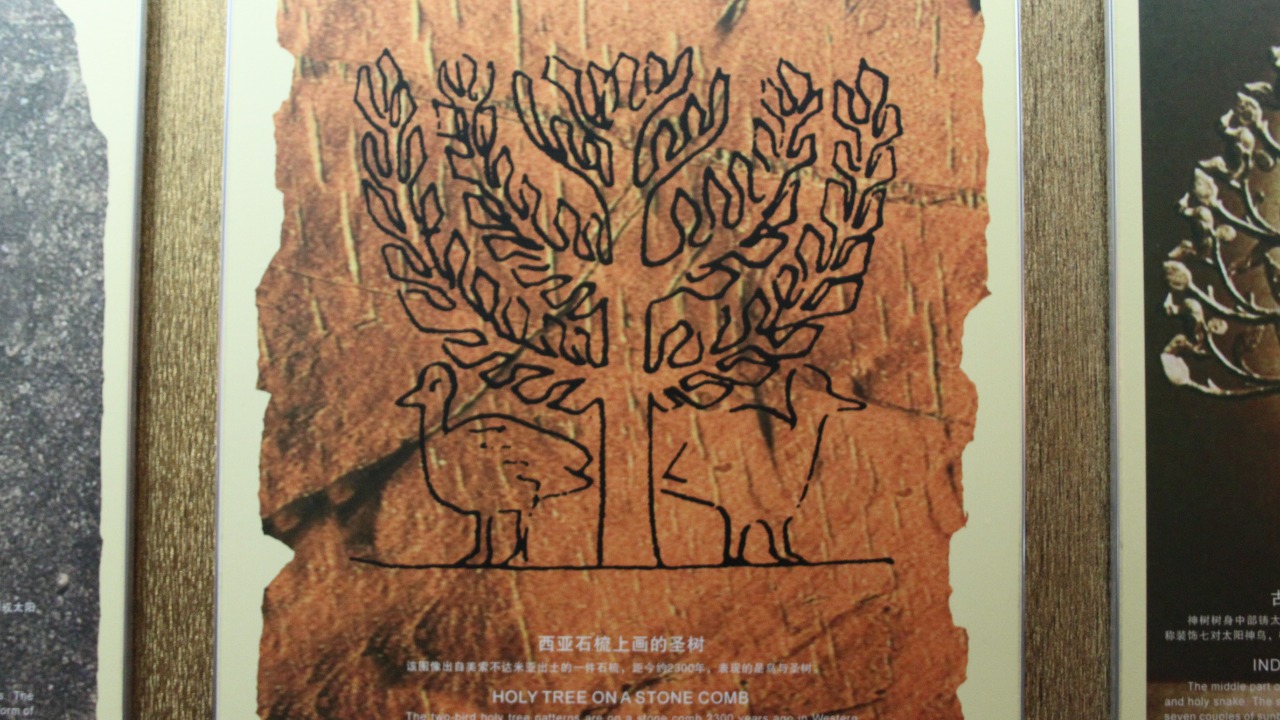 Old botanical art shows early humans may have used hidden math