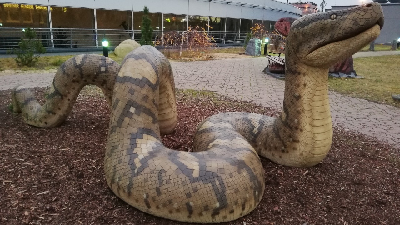 Giant ancient snake fossil found, and it makes Titanoboa look small