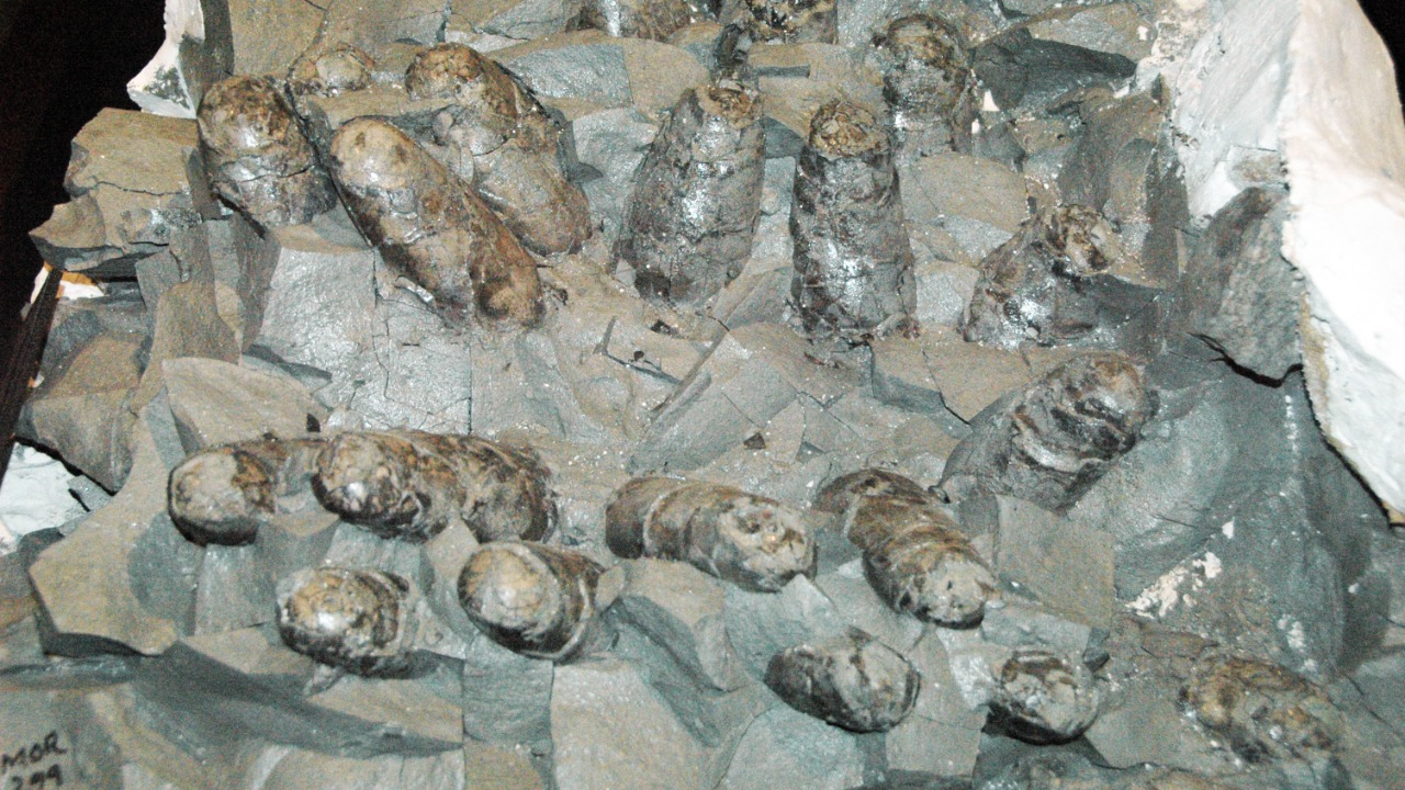 Image Credit: James St. John - CC BY 2.0/Wiki Commons