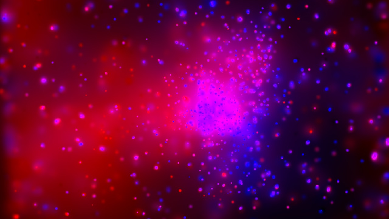 Chandra kicks off the year with a dazzling Champagne Cluster view