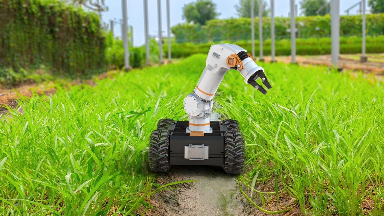 AI breeding aims to boost orphan crops and strengthen food security