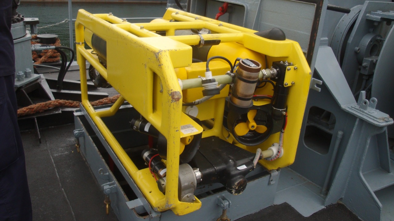 Image Credit: Ciacho5 - CC BY-SA 4.0/Wiki Commons