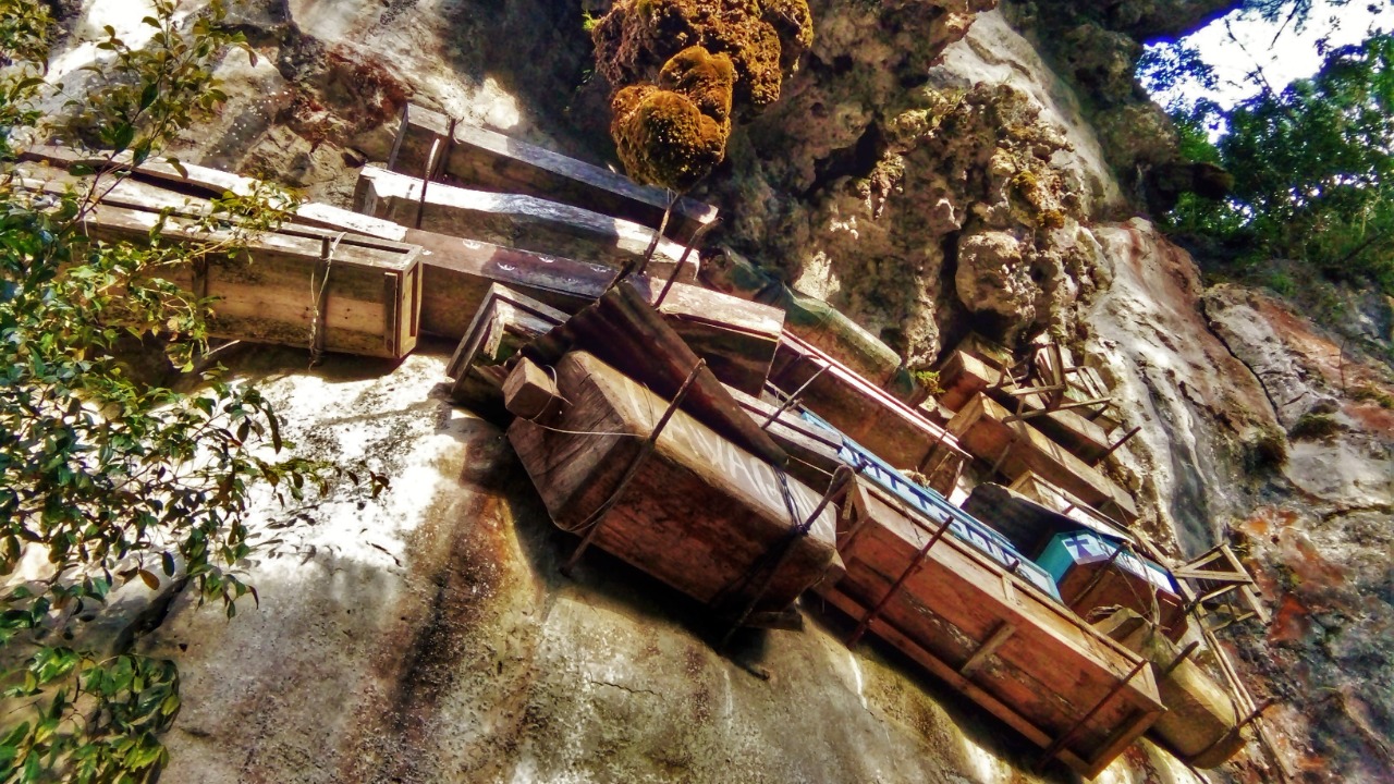 Image Credit: Markjay22 - CC BY-SA 4.0/Wiki Commons