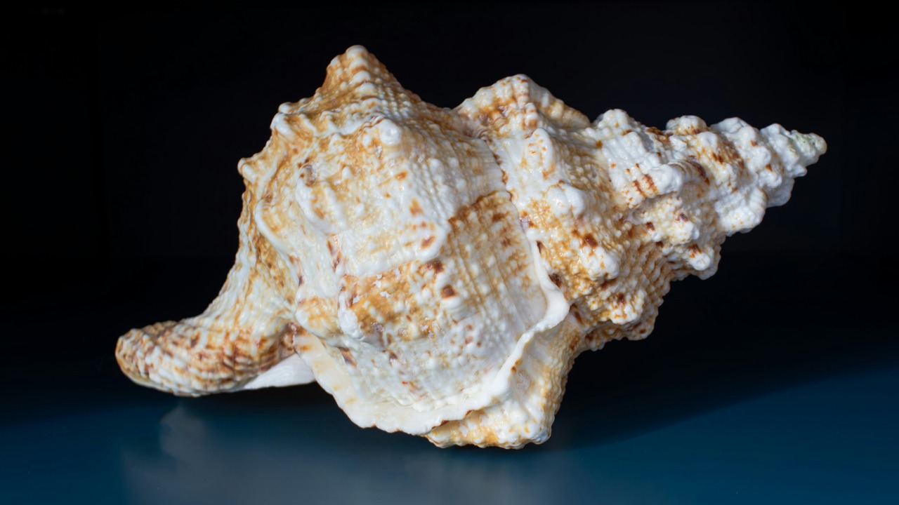 flow_in_action/Unsplash