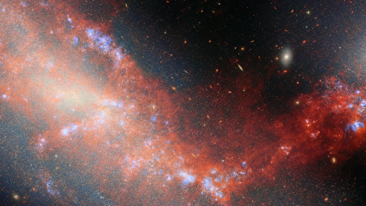 Image Credit: ESA/Webb, NASA & CSA, A. Adamo (Stockholm University), G. Bortolini, and the FEAST JWST team - CC BY 4.0/Wiki Commons