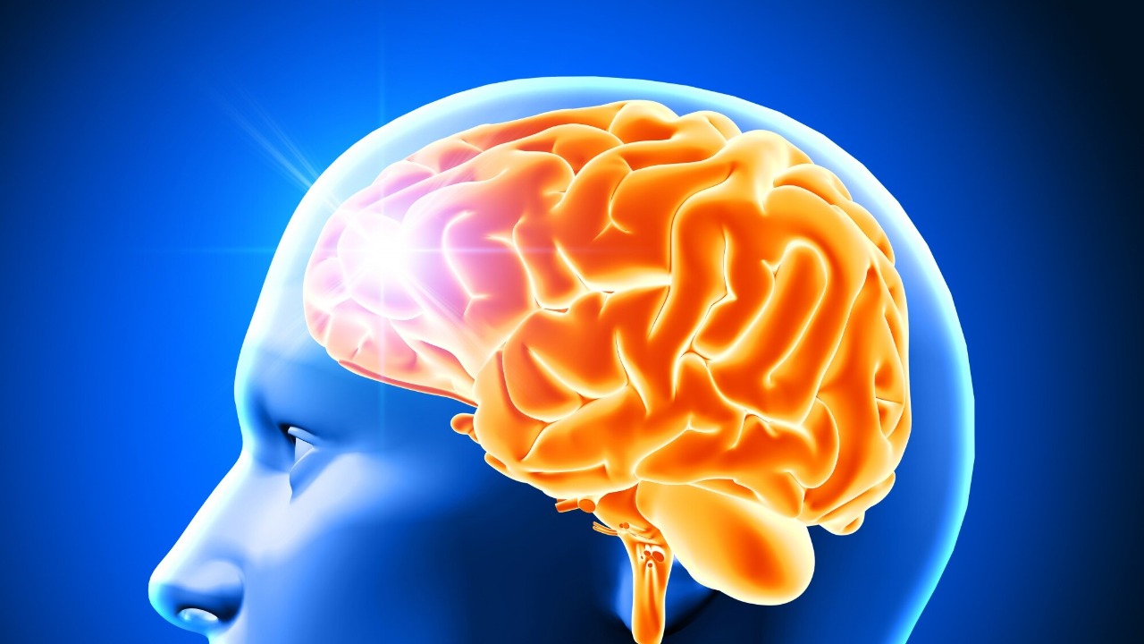 Scientists say humans may have 33 senses