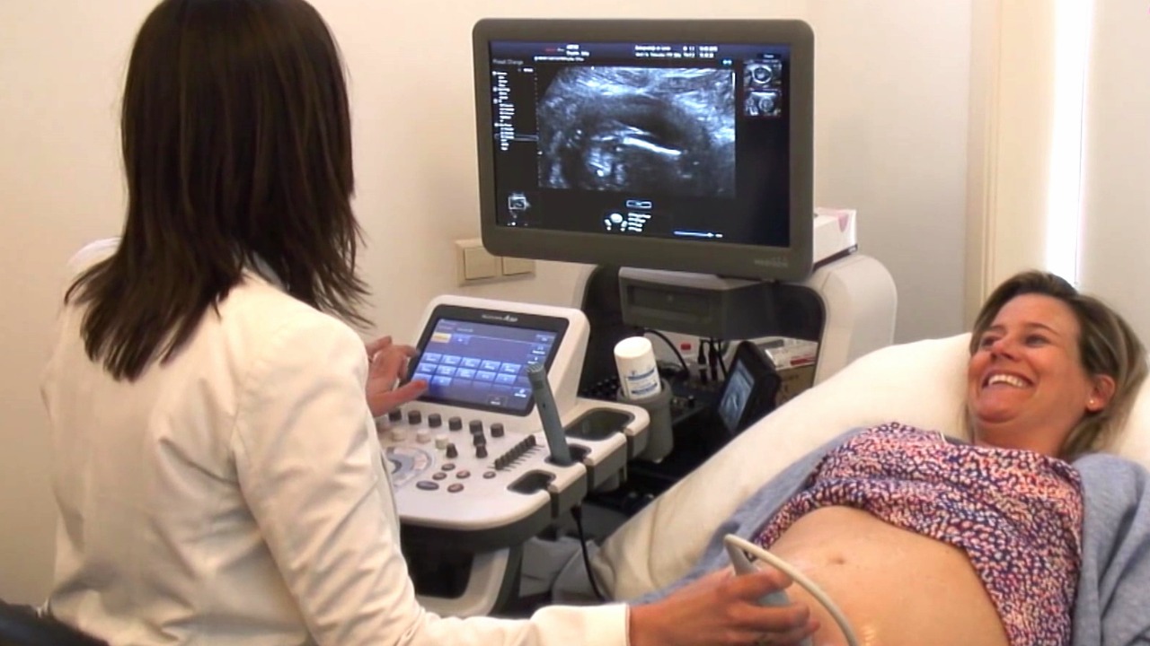 Image Credit: Ricmart 01 - CC BY-SA 4.0/Wiki Commons