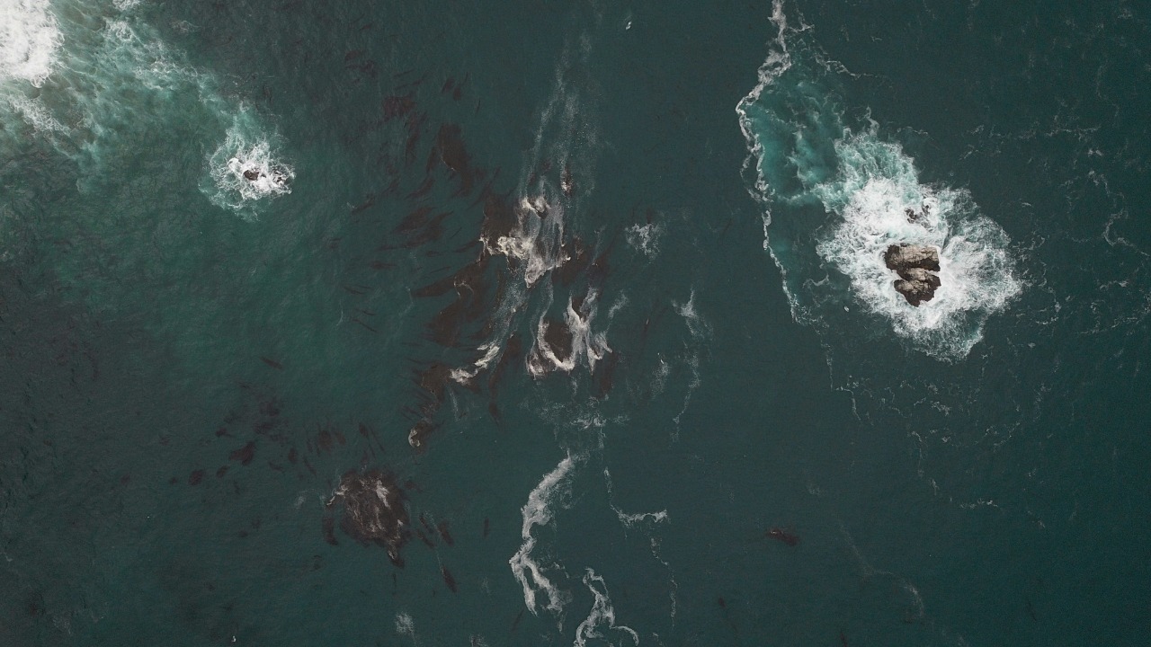 A NASA satellite saw a mega-tsunami behave in a bizarre way