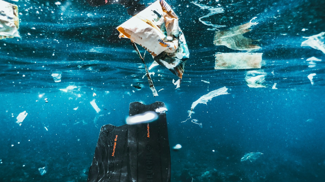 naja_bertolt_jensen/Unsplash