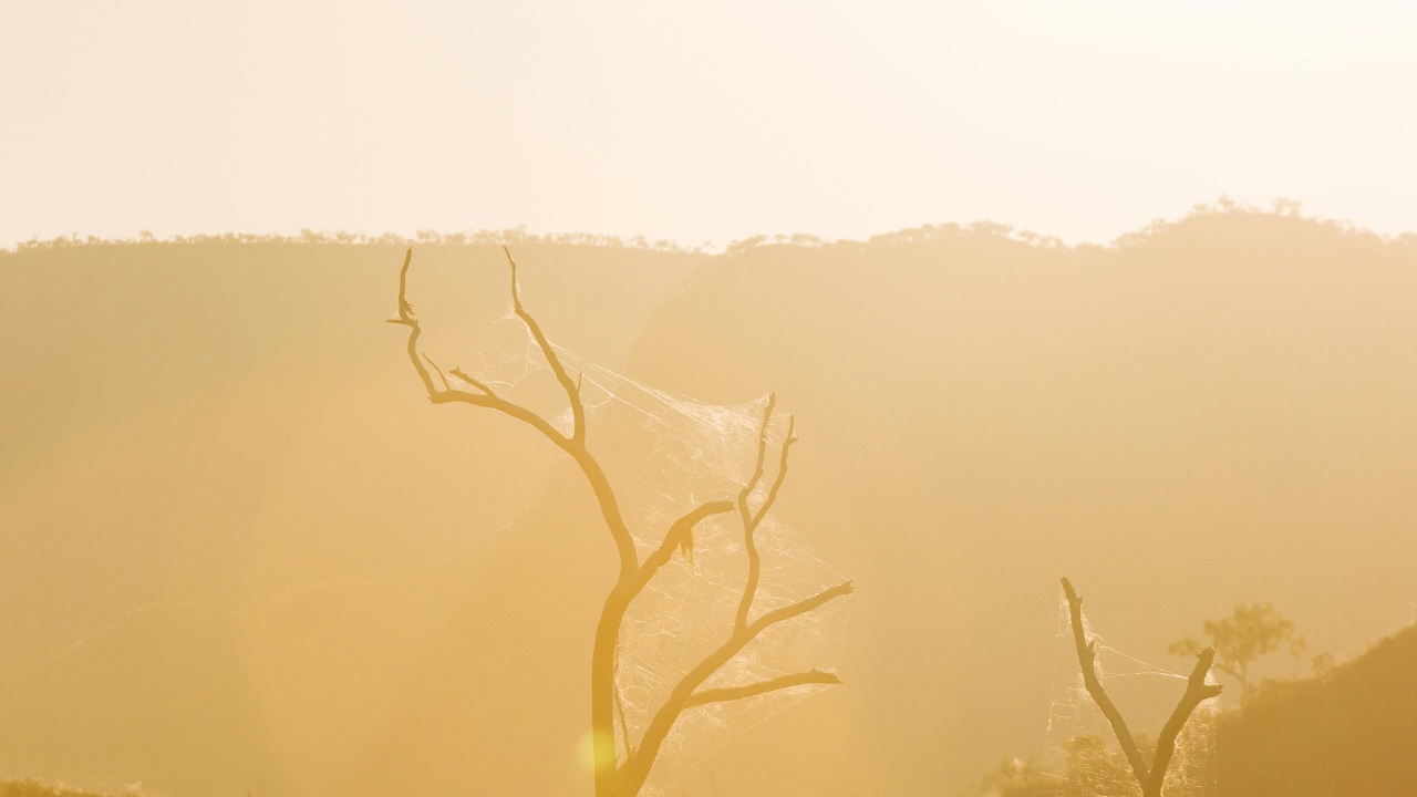 Rachel Claire/Pexels