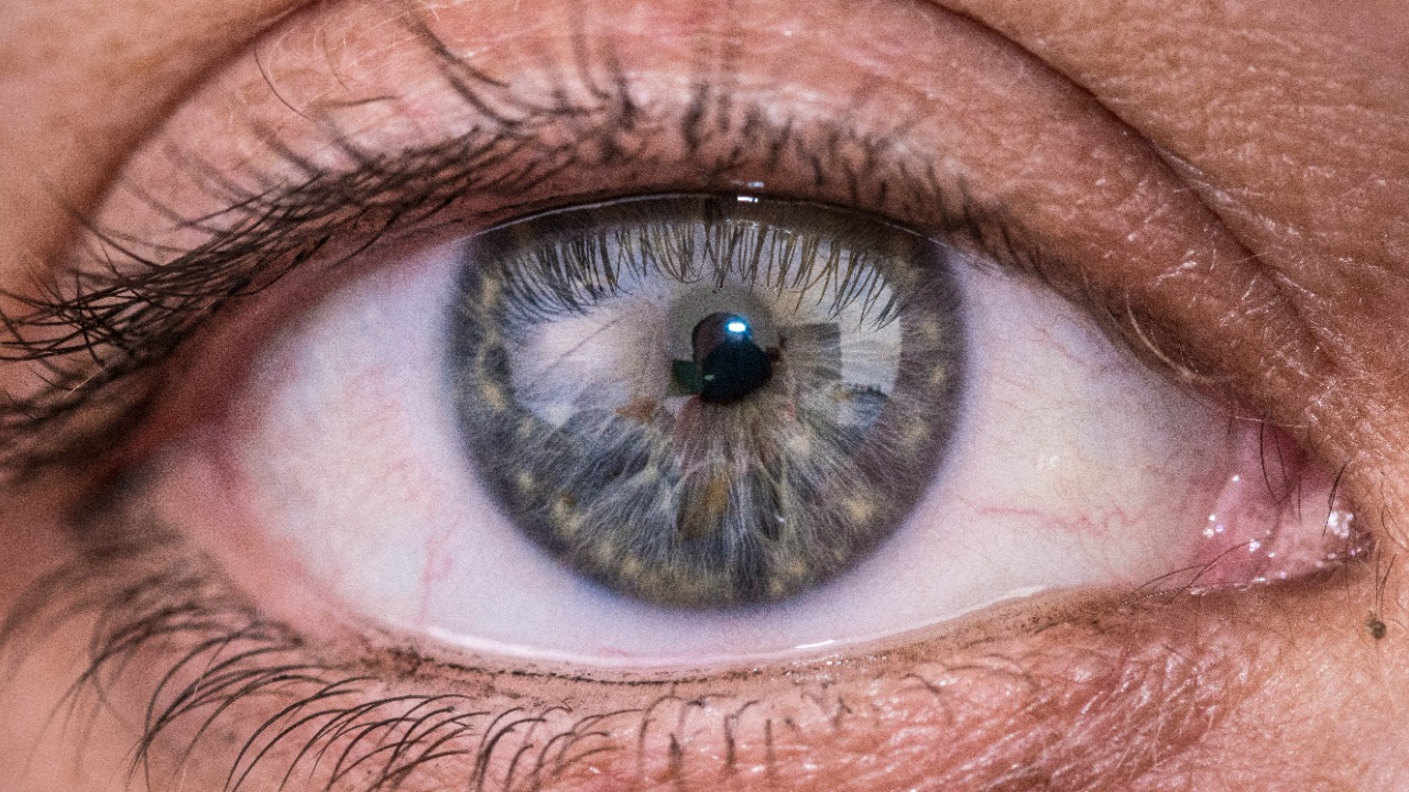 Tiny eye implant shows promise for restoring vision
