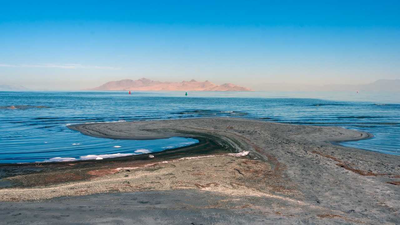 Image Credit: Acroterion - CC BY-SA 4.0/Wiki Commons