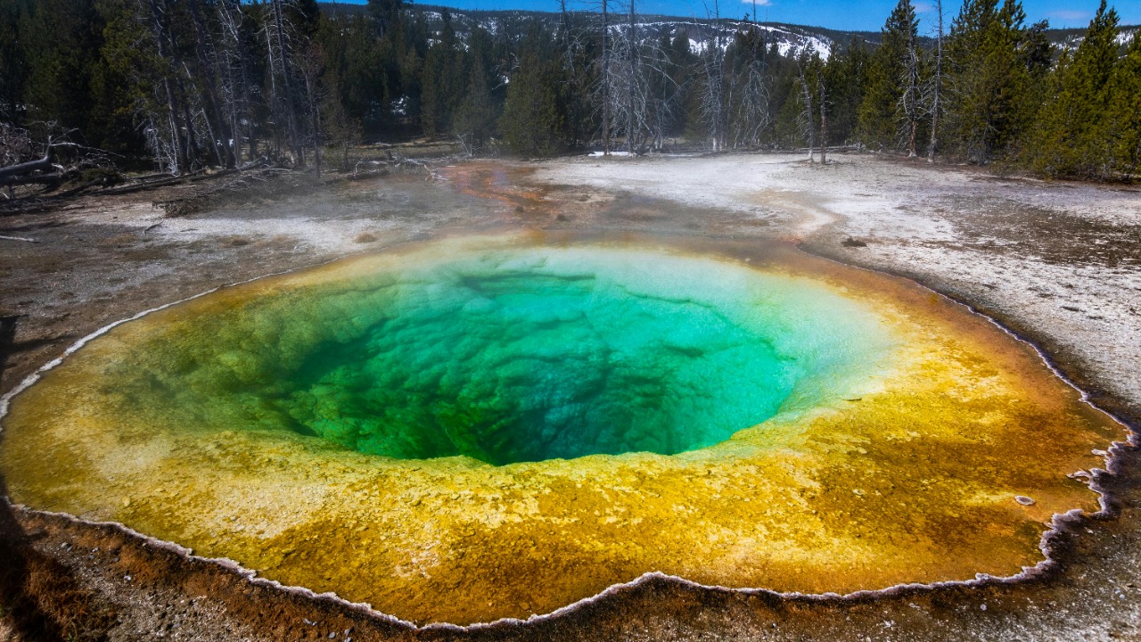 Yellowstone mystery: 10,000 evacuated, and the real story is wilder