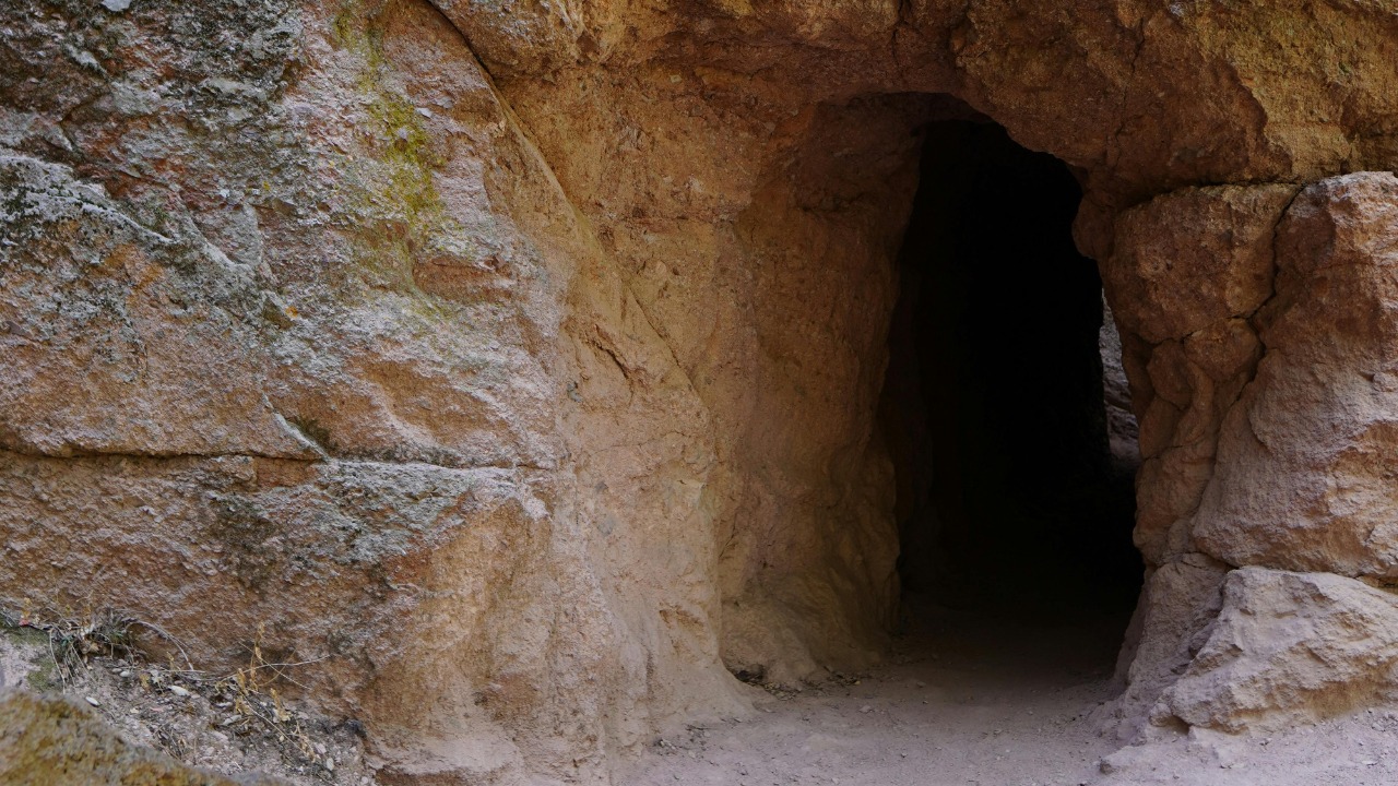 Scientists entered a hidden New Zealand cave and uncovered a lost world