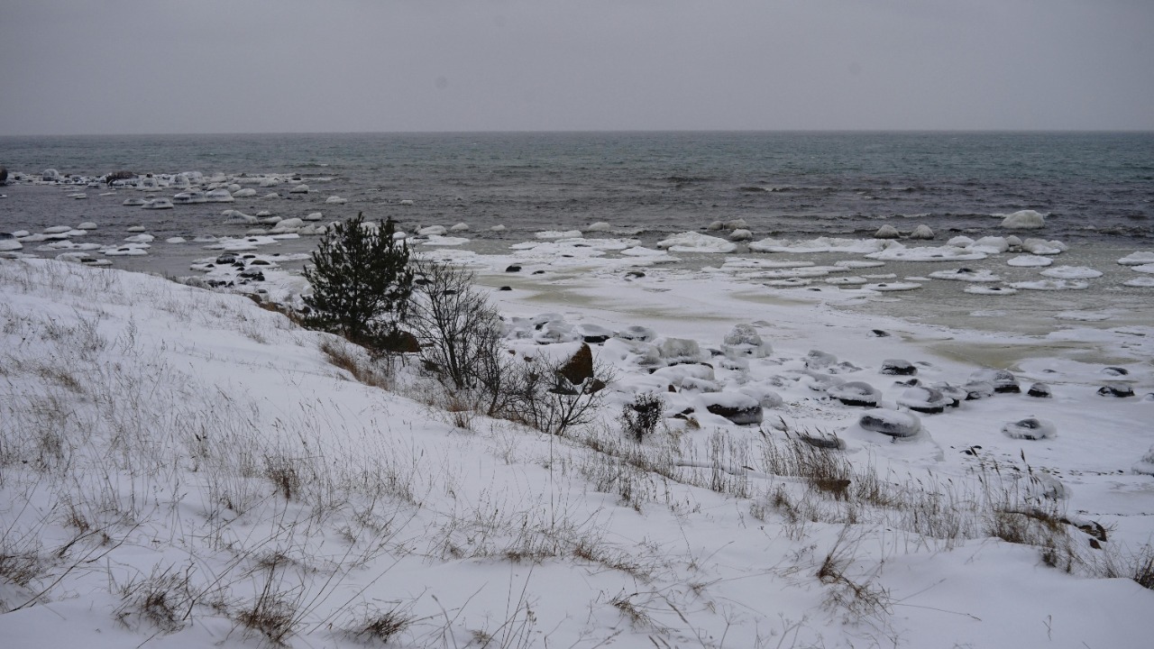 Scientists uncover major error in key Arctic snow cover data