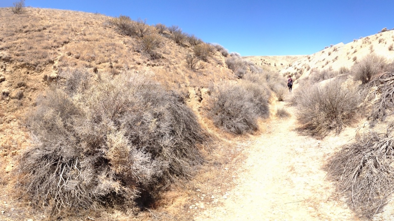 Inside Parkfield, San Andreas, and the hunt for an earthquake crystal ball