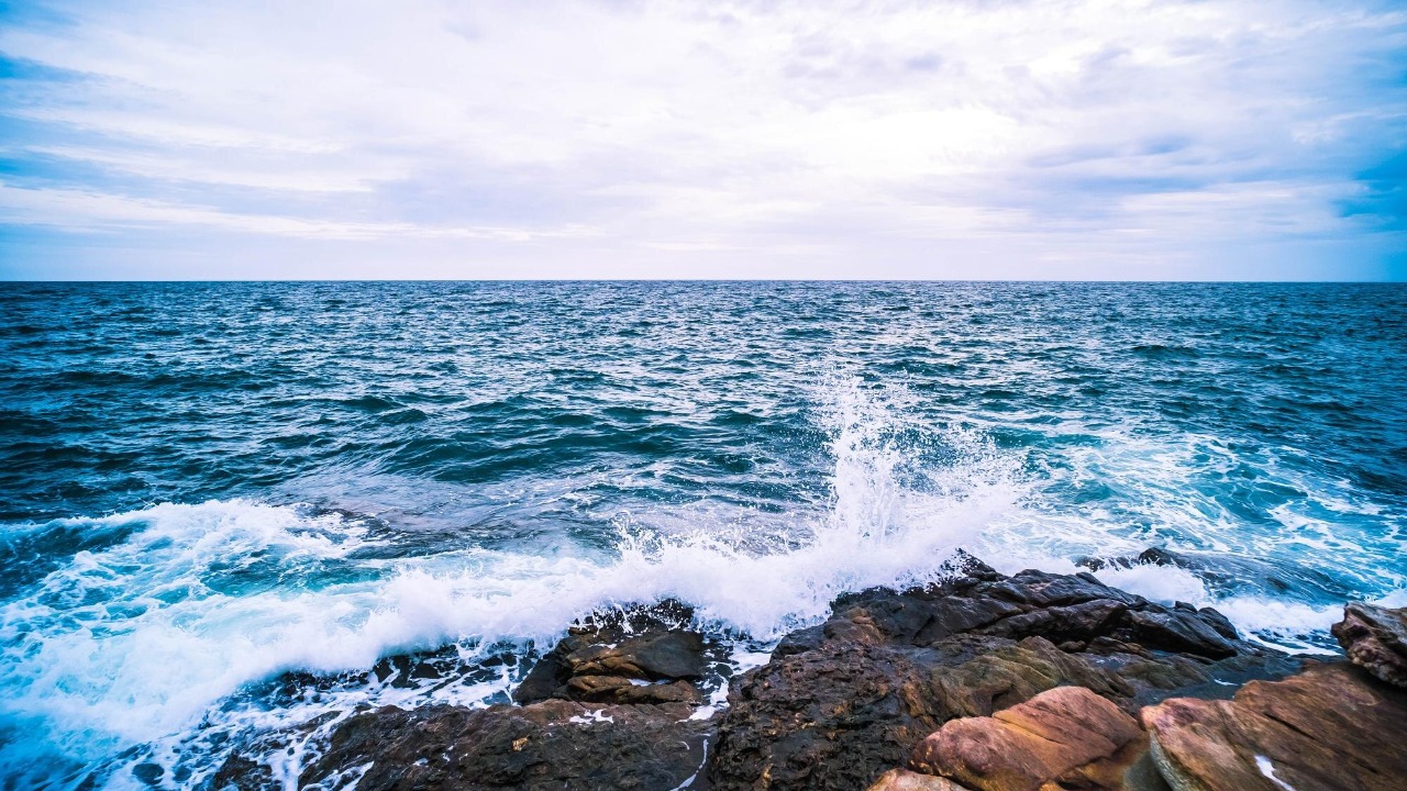 Oceans soaked up record heat in 2025 and scientists are freaking out