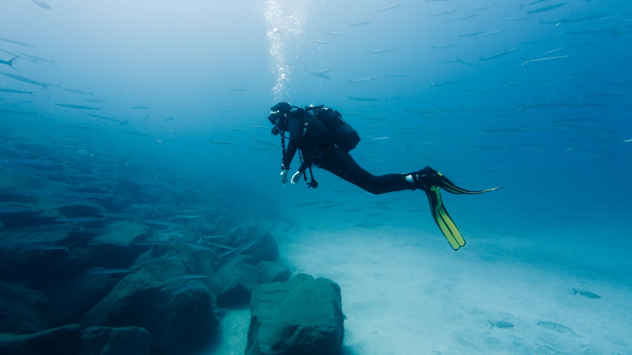 Ancient stone wall found underwater is rewriting human history