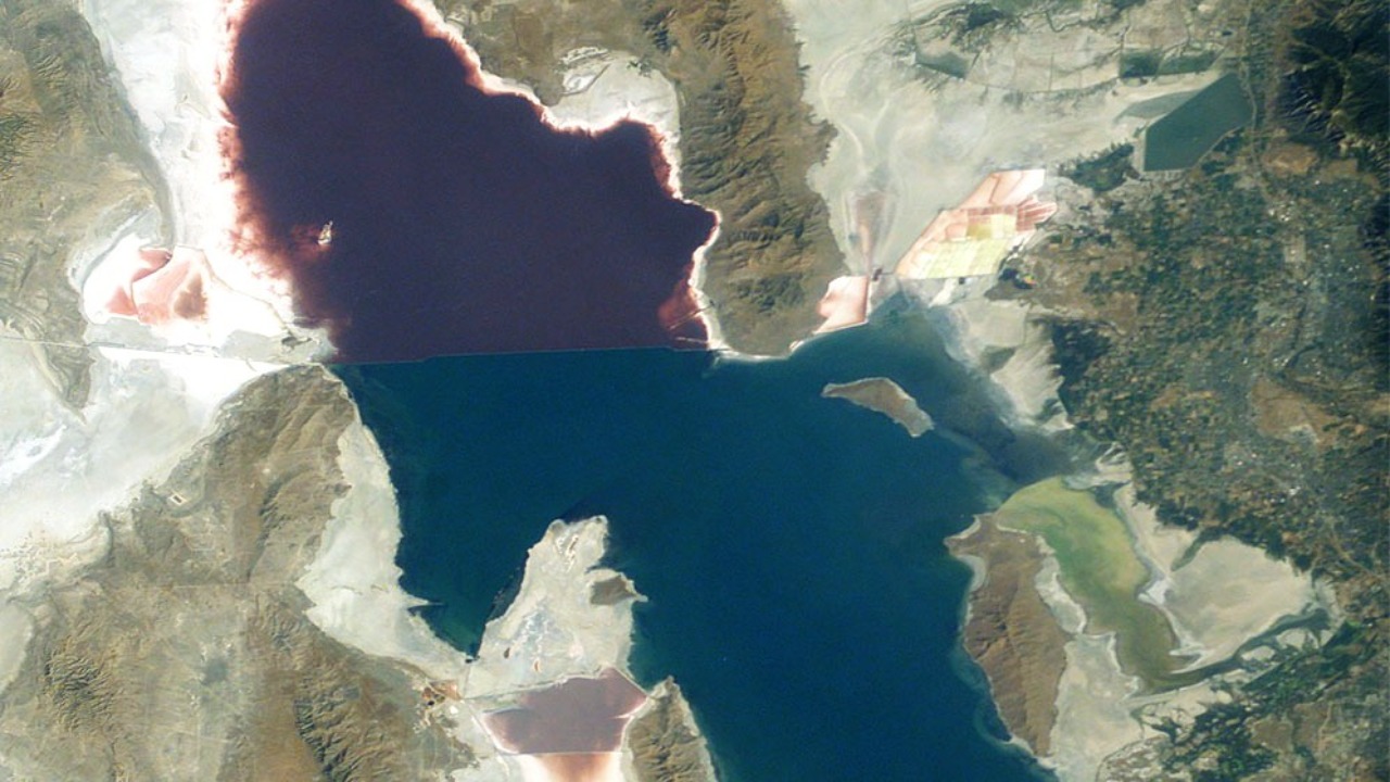 Utah scientists find a new Great Salt Lake species as only 3 animals survive there