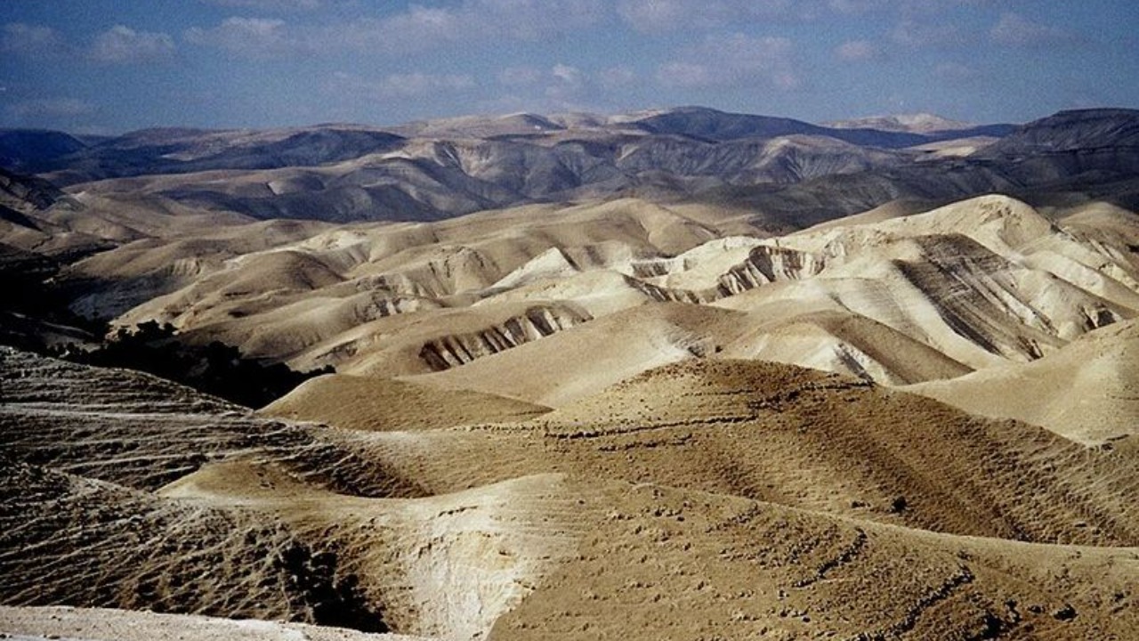 Image Credit: The original uploader was Effib at Hebrew Wikipedia. - CC BY-SA 3.0/Wiki Commons