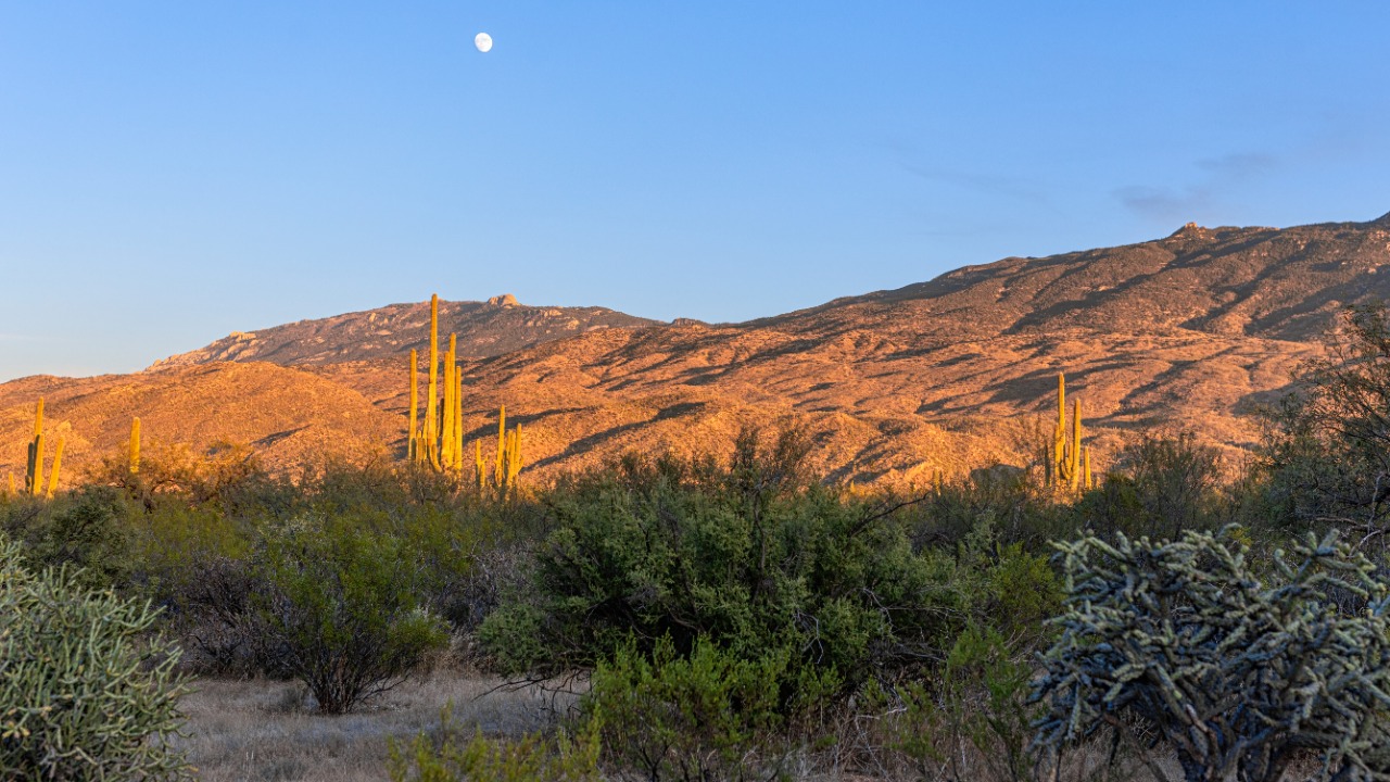 They locked humans in a fake Earth for 2 years and the experiment imploded