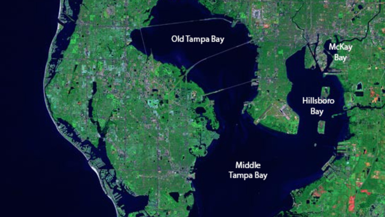 Tampa Bay to plunge from 70s to freezing in just 24 hours, forecasters warn