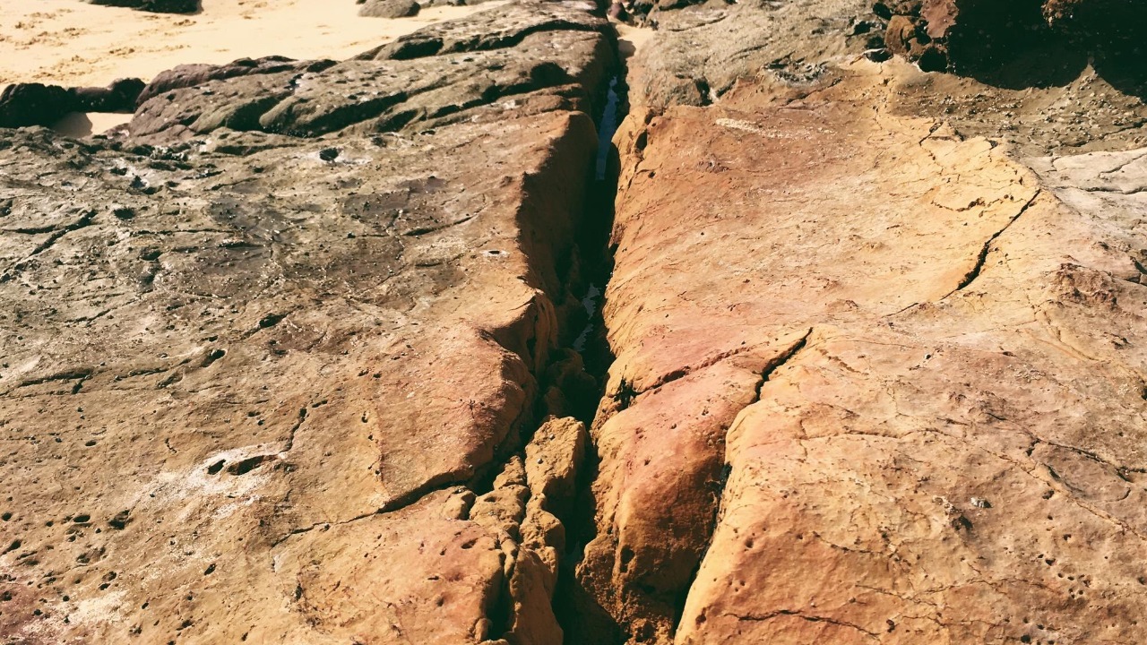 5 earthquakes rock California: what you need to know now