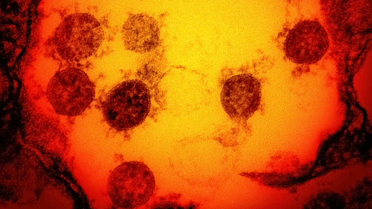 The ‘mutant’ humans who shrug off every known virus