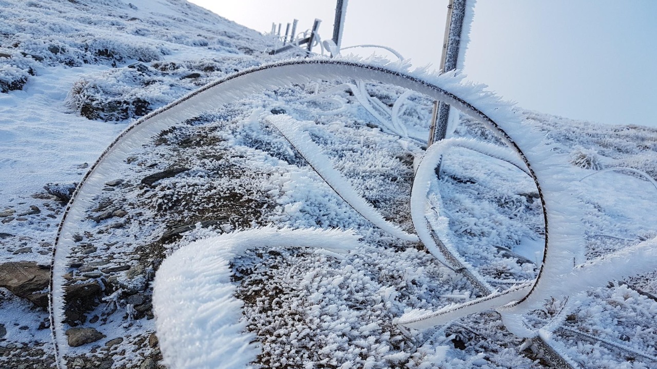 300M Americans brace for ‘unheard of’ polar vortex after Arctic fence fails