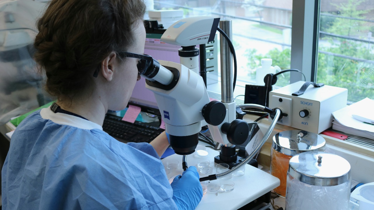 Scientists find shocking new allies against a major human health threat