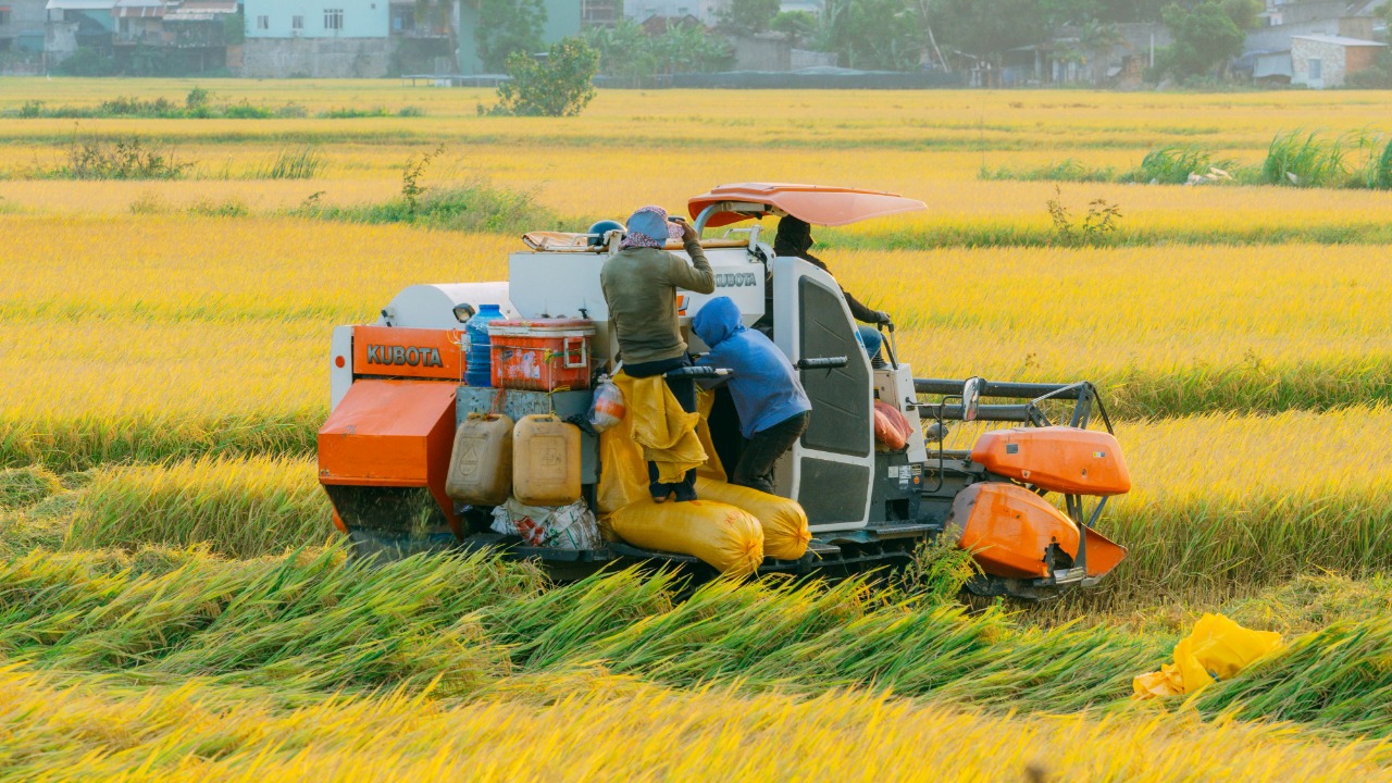 How pricing fertilizer emissions can slash climate damage without raising food $