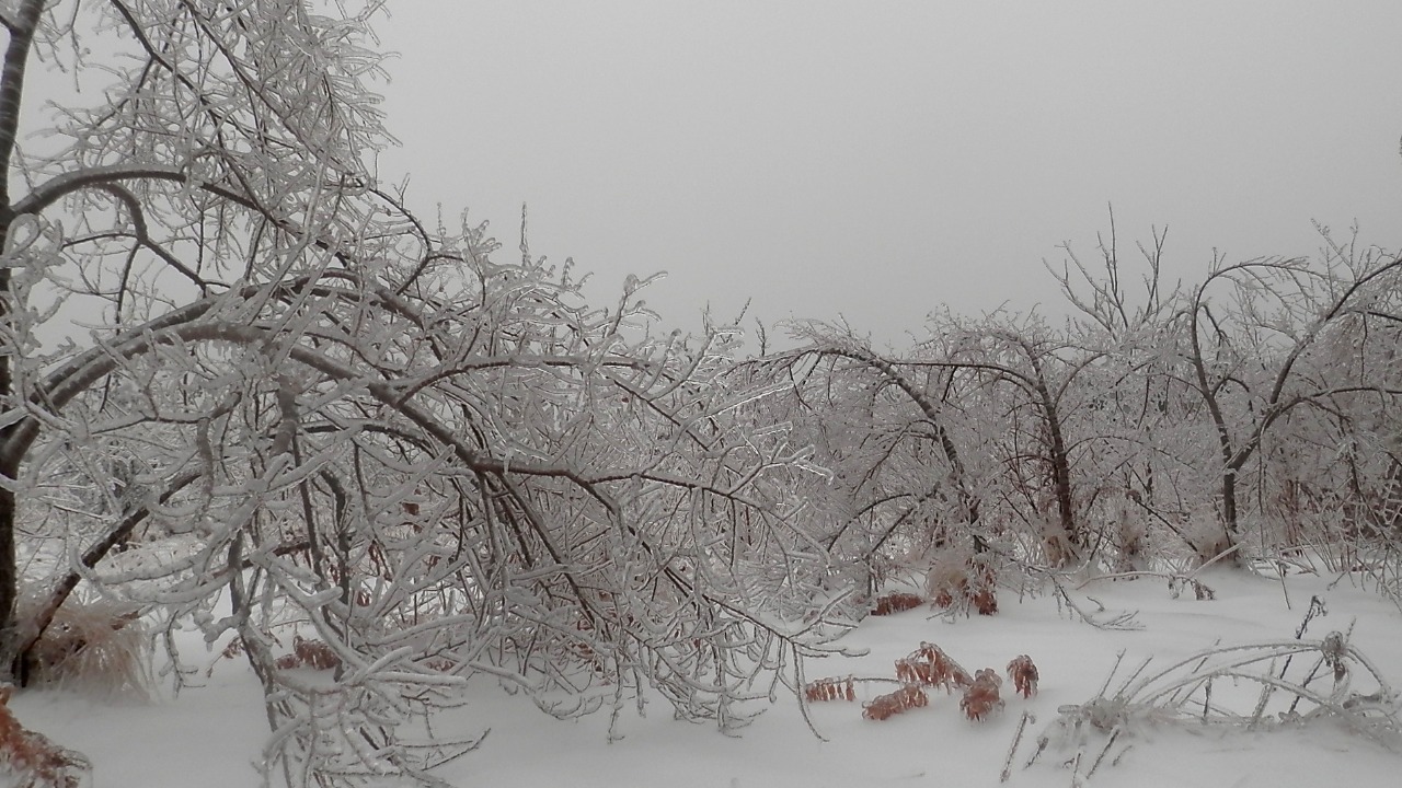 Southern ice storm threat looms this weekend with dangerous potential