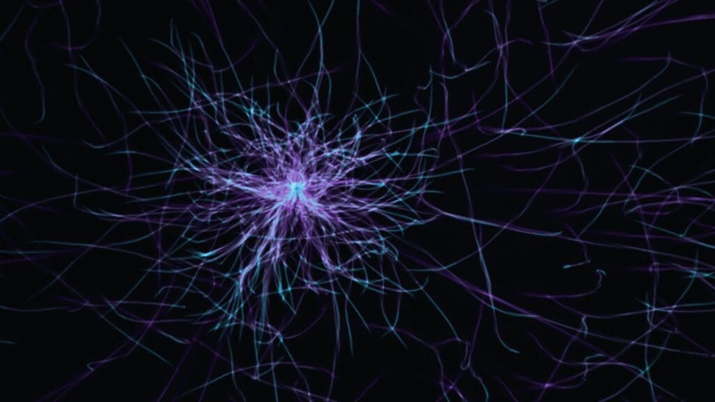 atomsmasher/Unsplash