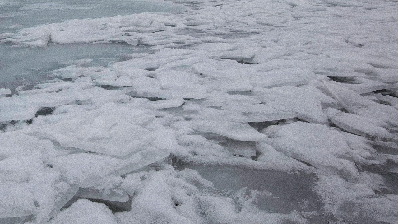 Stretched polar vortex, moisture & missing sea ice blamed for brutal winter blast