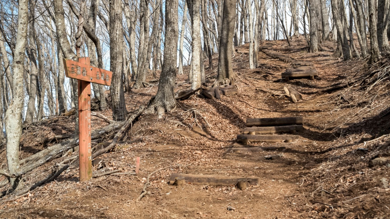 space_face_films/Unsplash