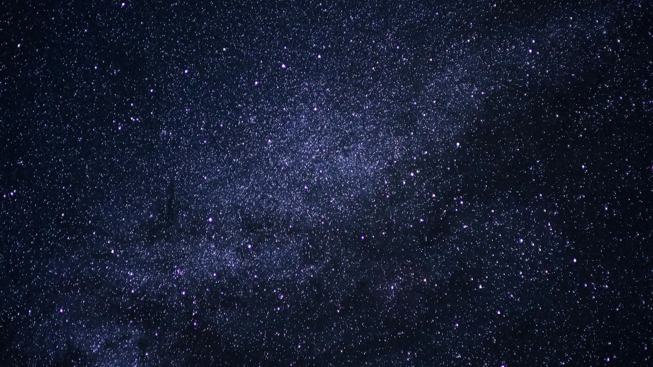 Studio Lichtfang/Pexels