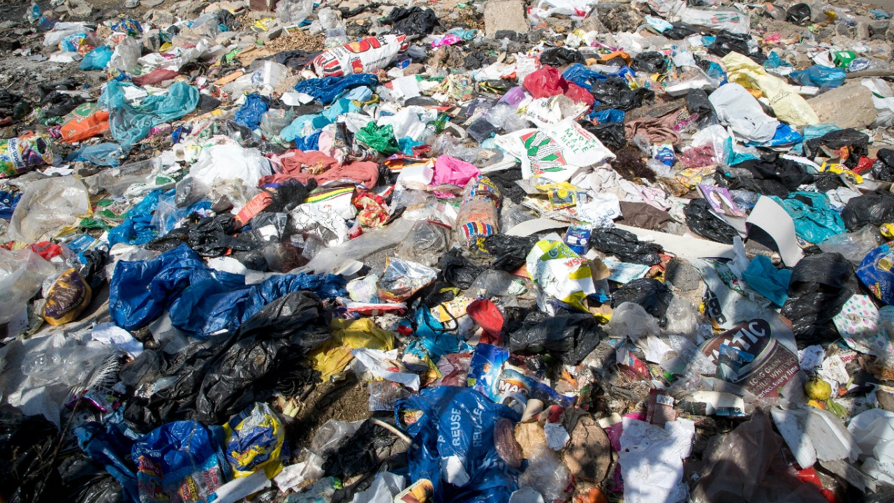 Plastics took over the planet thanks to a lie we still believe