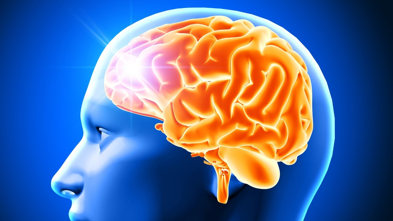 AI language models found eerily mirroring how the human brain hears speech