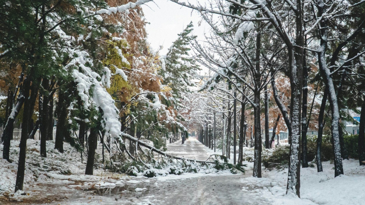 rays_pickpic/Unsplash