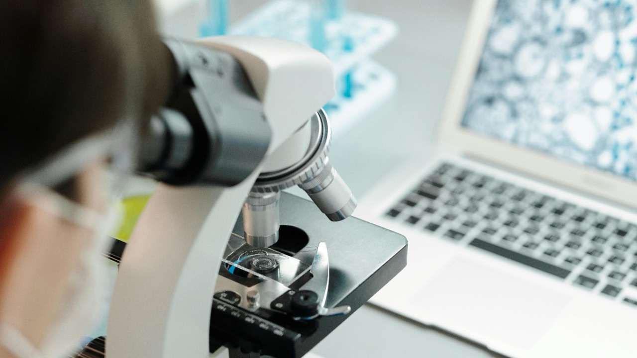 Scientists say they may have cracked the code to reboot aging cells