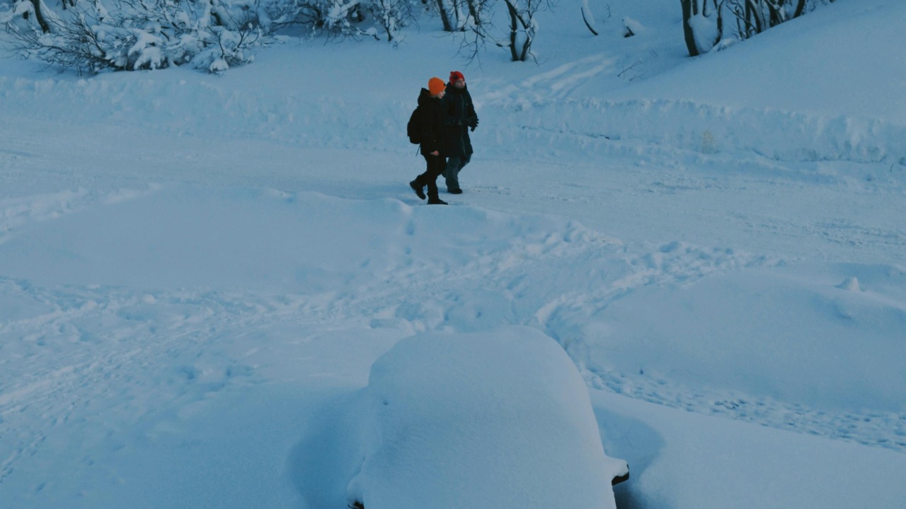 Darya Grey_Owl/Pexels