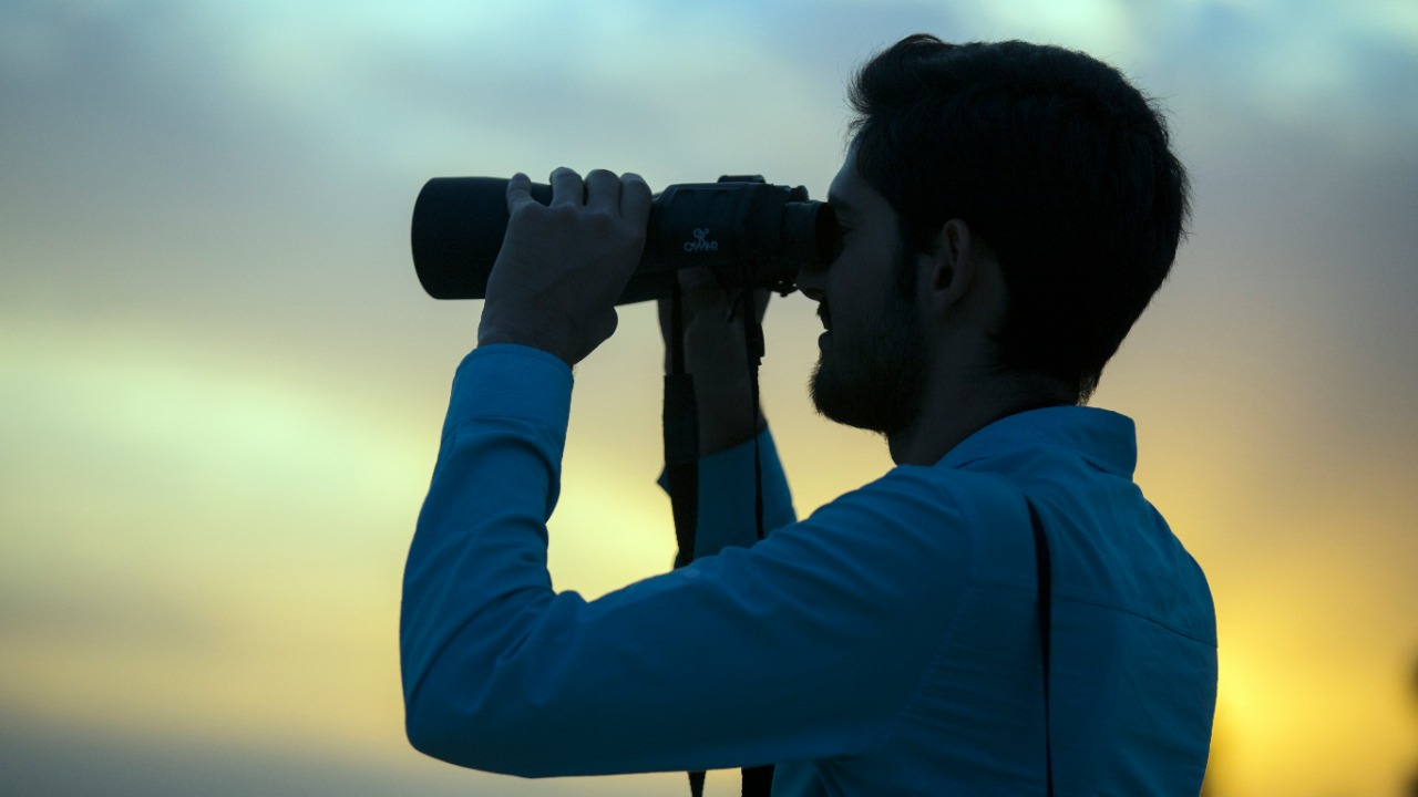 Are image-stabilized binoculars worth it for stargazing?