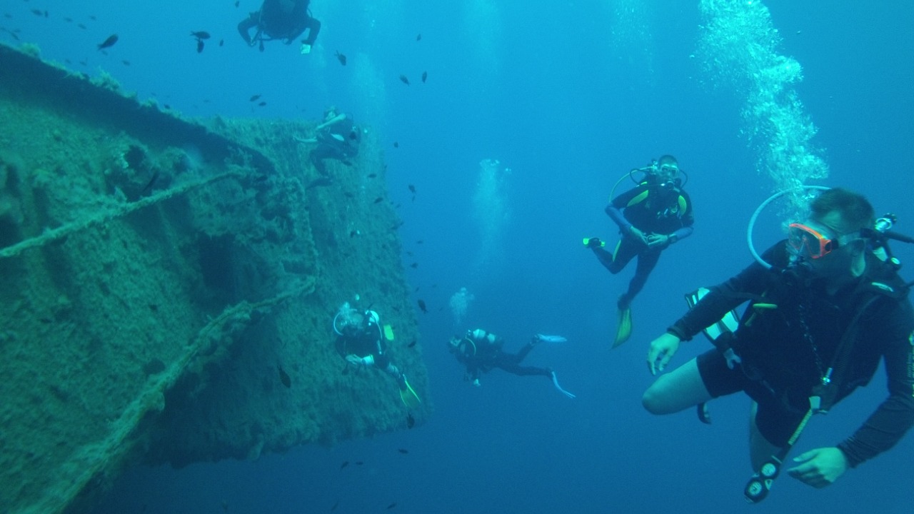 World’s largest cog ship wreck unearthed off Denmark stuns researchers