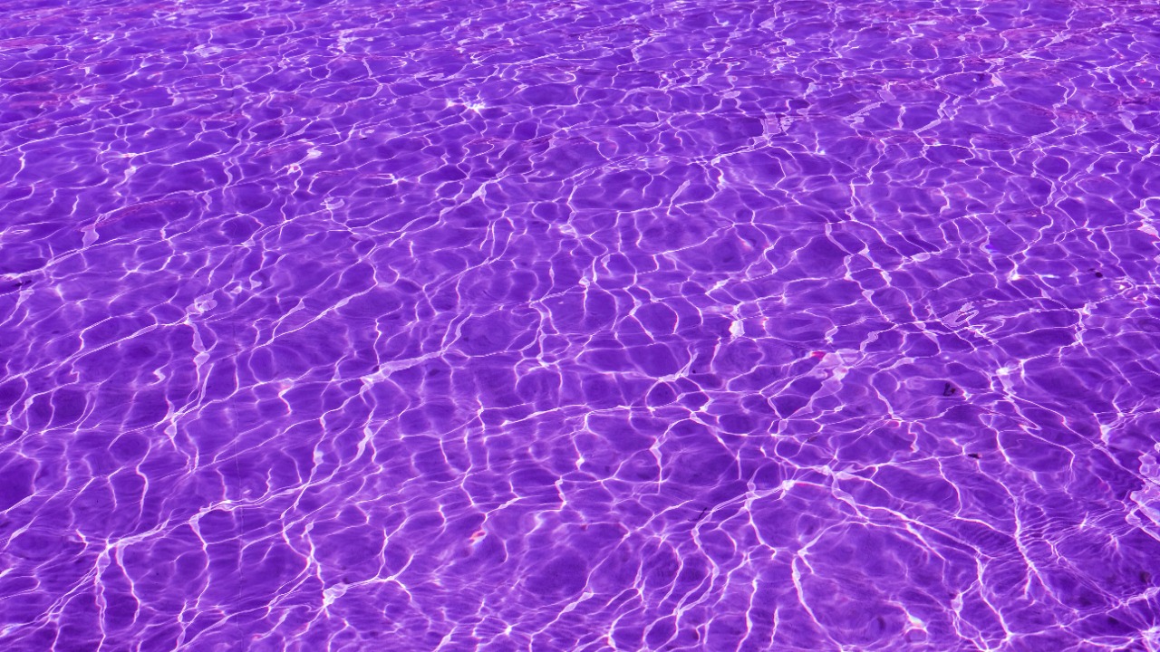 Purple isn’t real? Wild science claim says your brain fakes the color